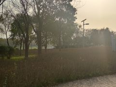 -洨河生态公园