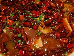毛血旺-陈麻婆豆腐总店