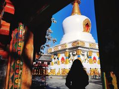 -护国法轮寺