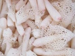 -佳缘野生菌食府