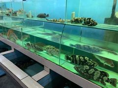 -龍记海鲜美食城(侨港风情街店)