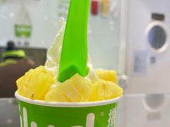 冻酸奶-Salud撒露欧洲冻酸奶(蓝色港湾店)