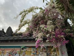 -深圳国际园林花卉博览园