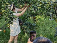 -云河农家乐饭店(福禄缘树山店)