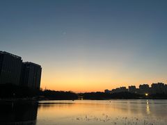 -南翔镇银翔湖公园