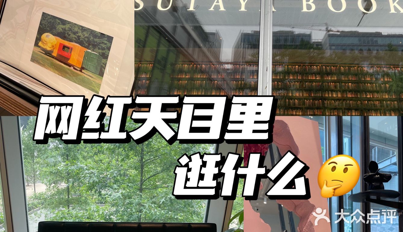 ❗️网红天目里不用人挤人了👀