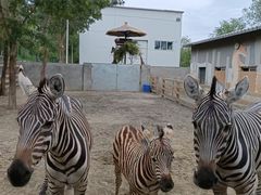 -水上乐园·欢乐世界