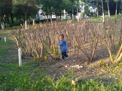 -西安汉城湖景区