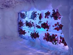 -世界之窗阿尔卑斯冰雪世界