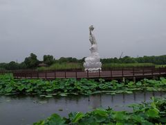 -荷塘月色湿地公园·向阳花洲