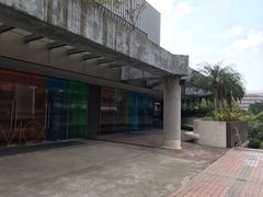 -香港大学