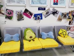 -莘程宠物医院(金山店)
