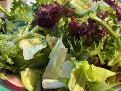 -小吊梨汤·北京菜·烤鸭(双井乐成中心店)