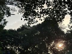 -广州市白云山风景名胜区