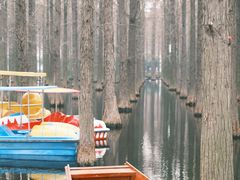 -渌洋湖湿地公园