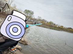 -天津东丽湖风景区