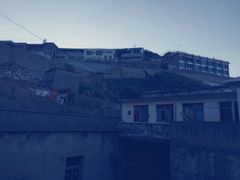 -枸杞岛