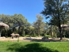 -北京野生动物园