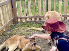 -水上乐园·欢乐世界