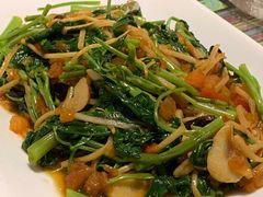 酸笋通心菜-呐咪傣园·云南菜(石厦店)