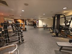 -新加坡瑞士史丹福酒店