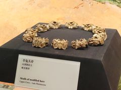 -北京周口店北京人遗址博物馆