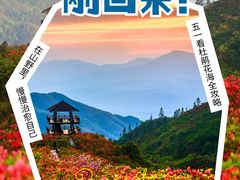 -大围山国家森林公园