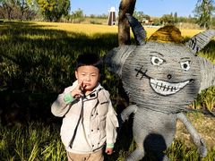 -长兴太湖图影湿地文化园