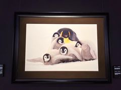 -罗红摄影艺术馆