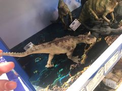 -TOYSRUS玩具反斗城(苏州中心店)