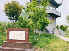 -盐城丹顶鹤湿地生态旅游区