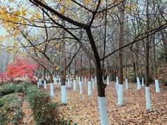 -白马涧龙池景区
