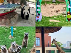 -灵玲国际马戏城