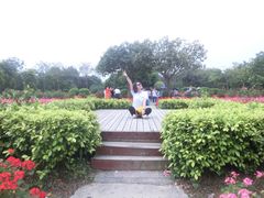 -广东花都香草世界旅游度假区