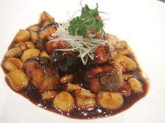 -子福慧(虹桥店)