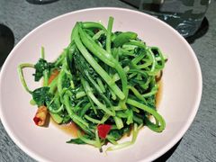 炝炒鸡毛菜-日上三甘(三里屯店)
