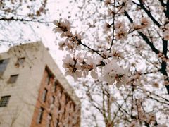 -吉而慧幼儿园-原红黄蓝幼儿园(世华水岸园)