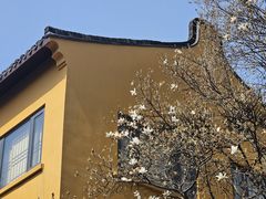 -龙华寺