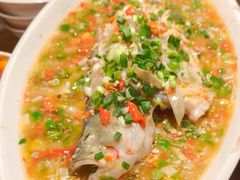 -飞虹鱼馆(春华路店)