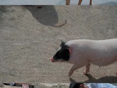 -宁波野生动物园