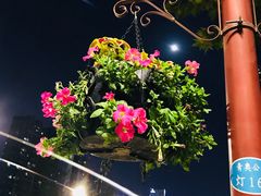 -南京眼步行桥