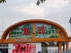 -长洲岛