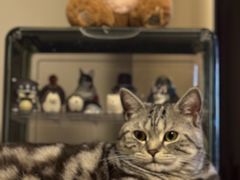 -达爱动物医院·犬猫分区·CT·复杂眼科(远洋山水分院)