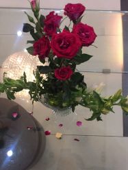 -Bollins波林丝•专研护发中心