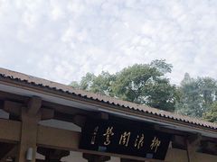 -柳浪闻莺公园