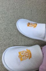 -南京医科大学友谊整形外科医院