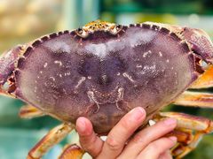 -小海豚•老字号海鲜餐厅(天涯店)