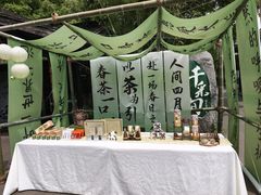 -天目湖山水园