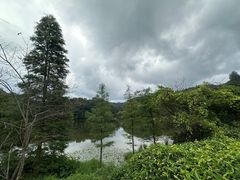 -广州市石门国家森林公园