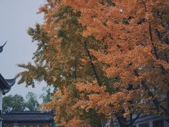 -西园戒幢律寺